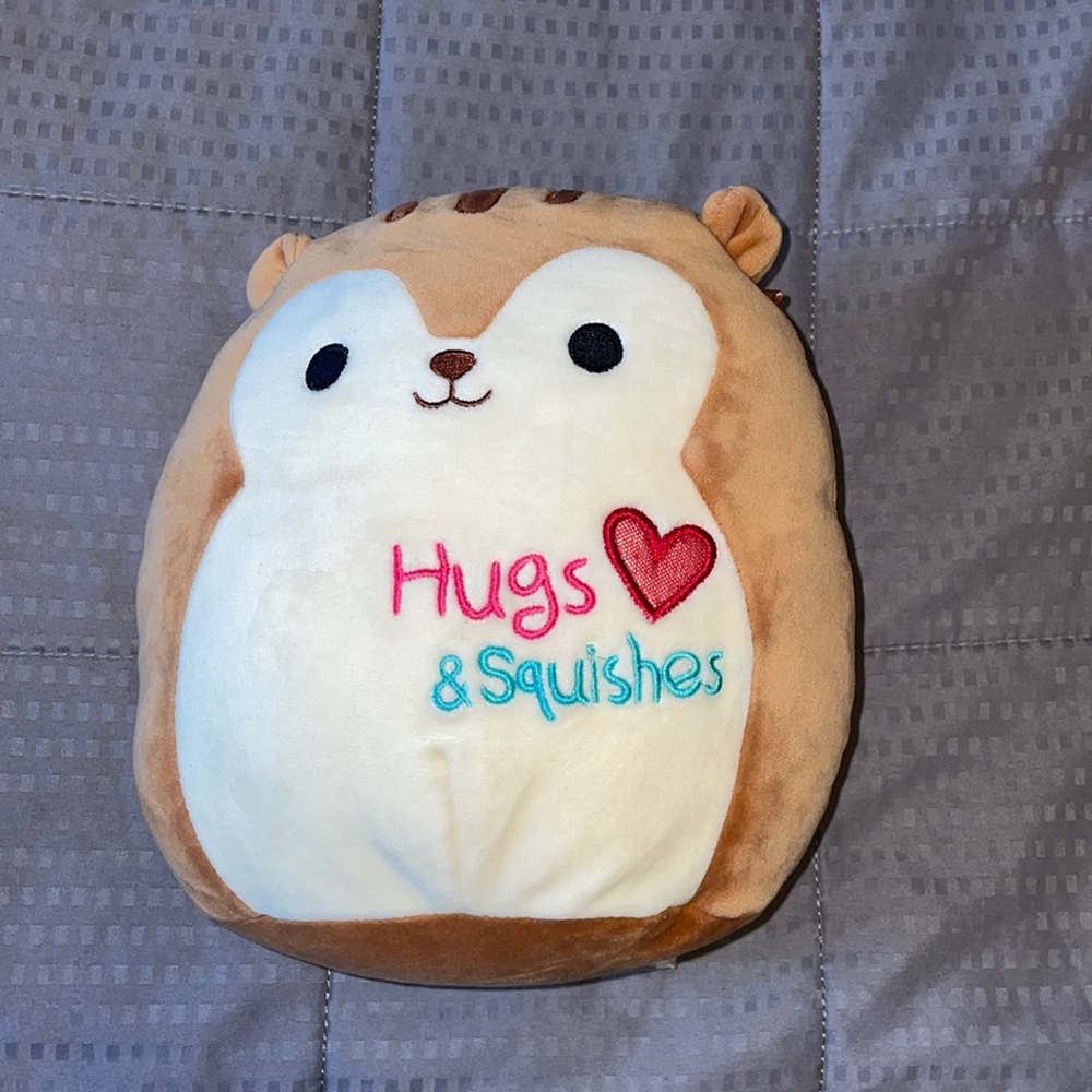 Mini Brown🤎 hugs and squishes squirrel Squishmallow